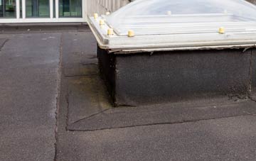 disadvantages of Rhiw flat roofs